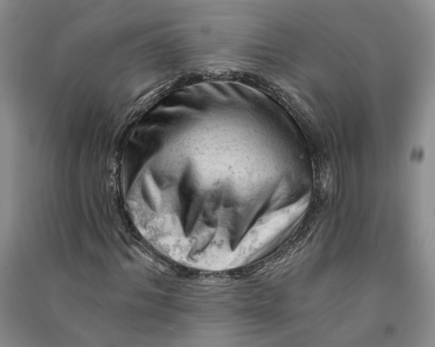 X0000090890964200708171702