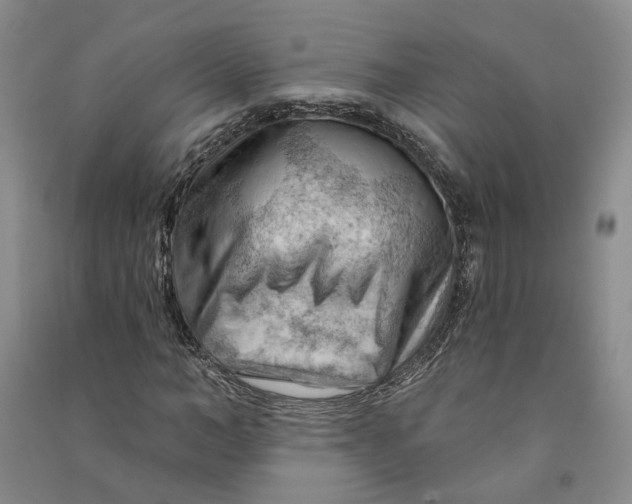 X0000090890966200708171702