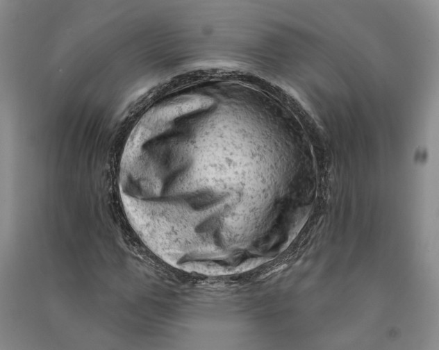 X0000090890967200708171702