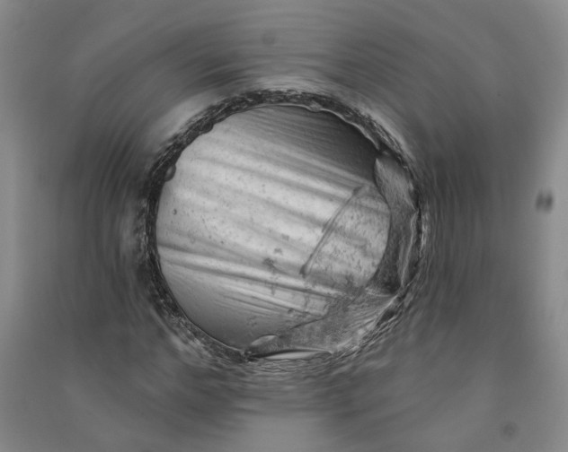 X0000090890968200708171702