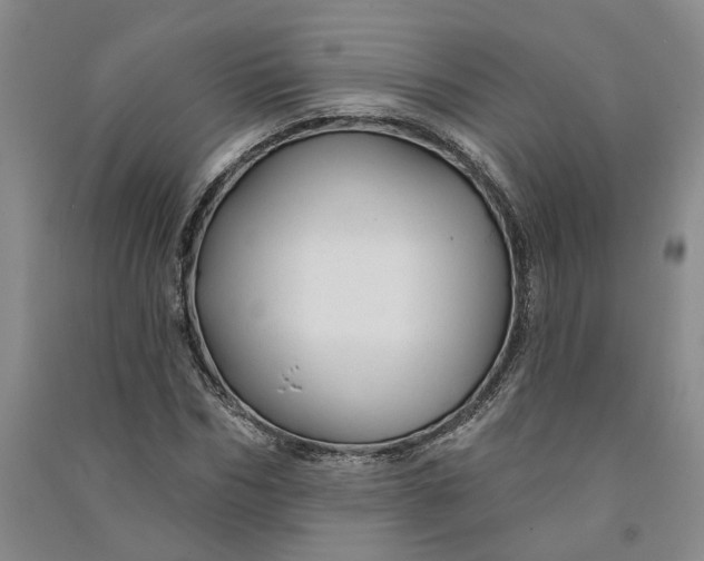 X0000090890970200708171702