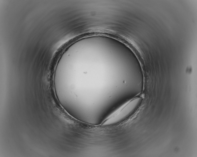 X0000090890971200708171702