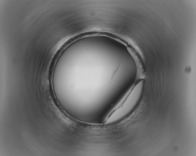 X0000090890972200708171702