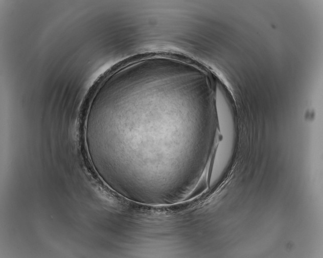 X0000090890975200708171702