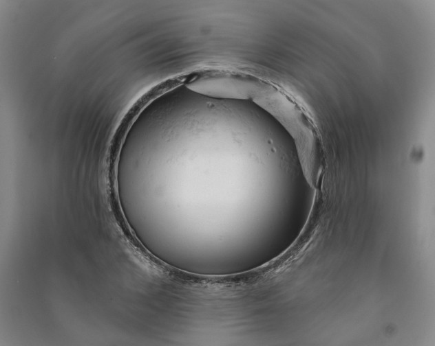 X0000090890976200708171702