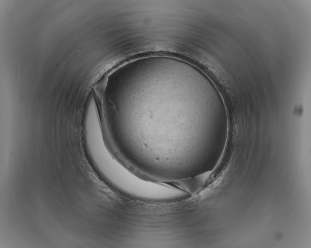 X0000090890977200708171702