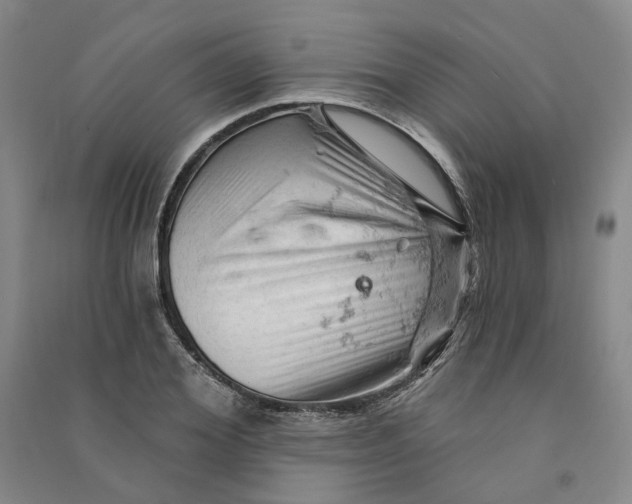 X0000090890980200708171702