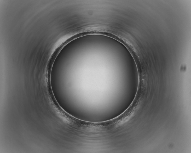 X0000090890981200708171702