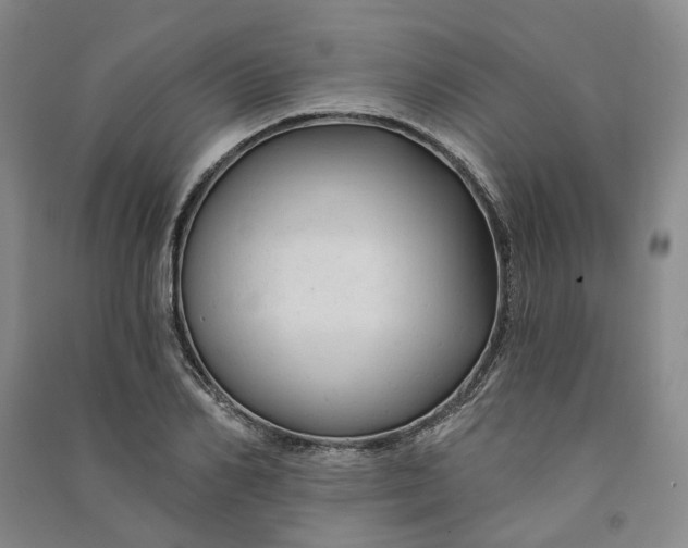 X0000090890982200708171702