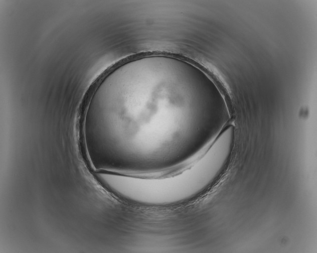 X0000090890983200708171702