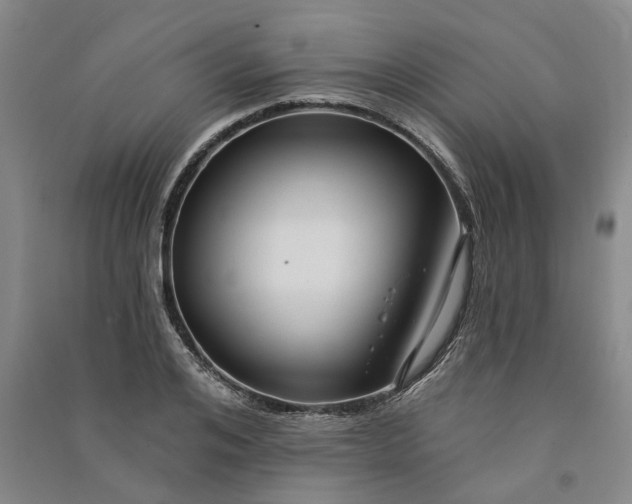 X0000090890984200708171702