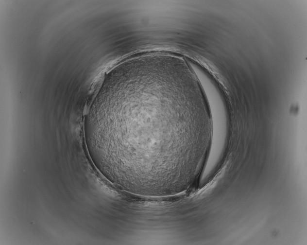 X0000090890985200708171702