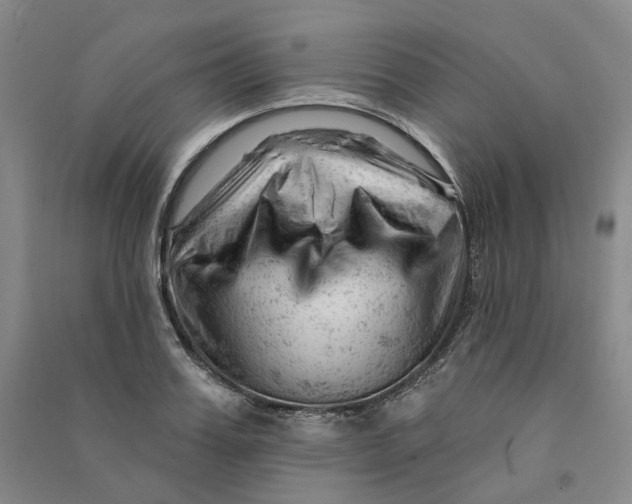 X0000090890987200708171702