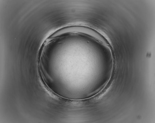 X0000090890989200708171702