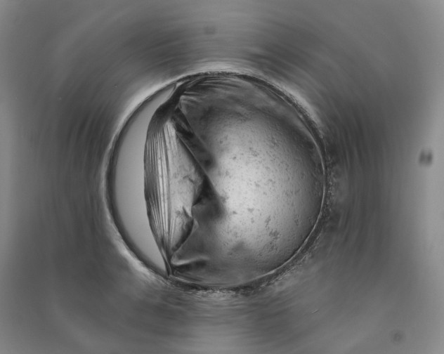 X0000090890991200708171702