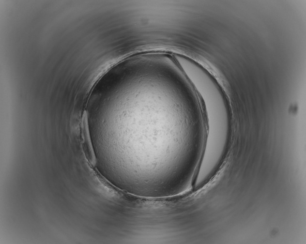 X0000090890993200708171702