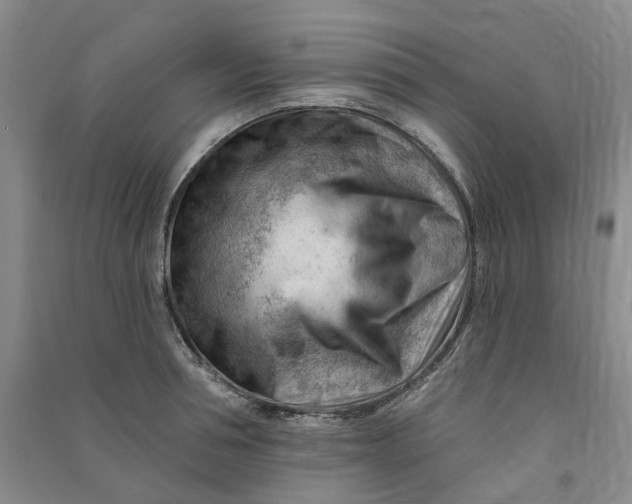 X0000090890994200708171702