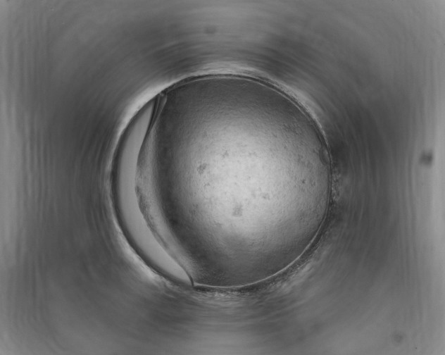 X0000090890995200708171702