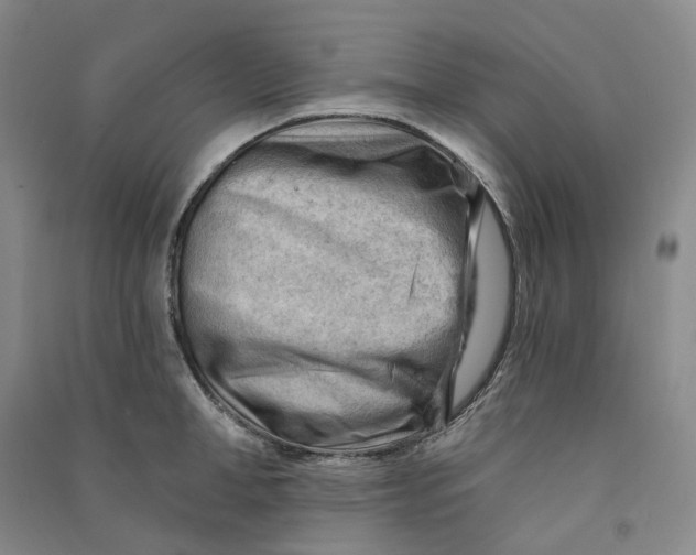 X0000090890998200708171702