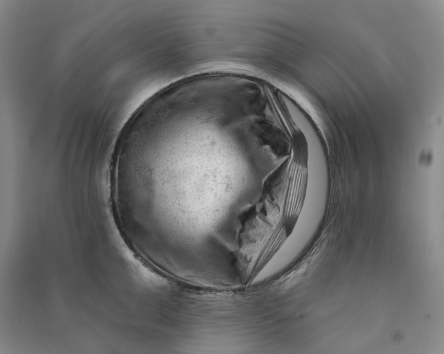 X0000090890999200708171702