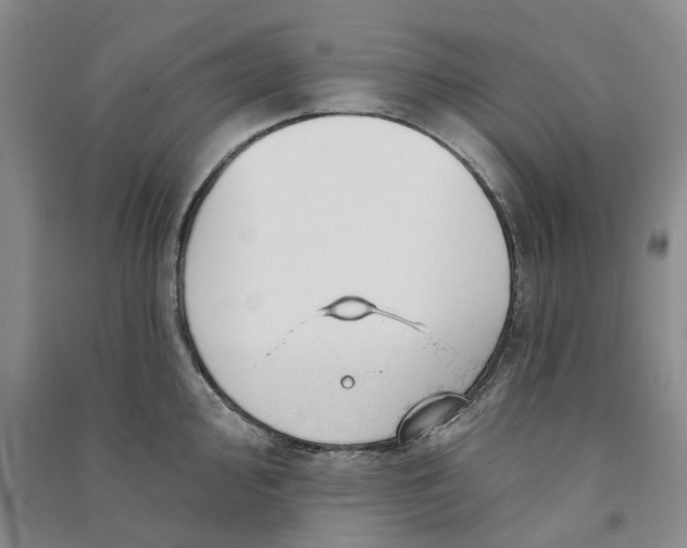 X0000090891000200708171702