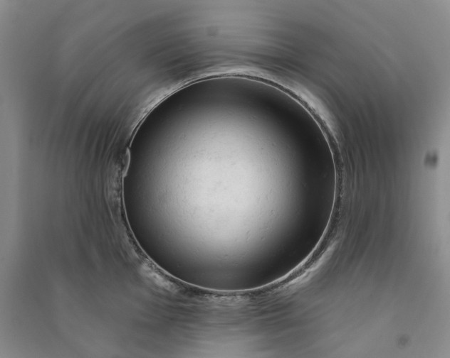 X0000090891001200708171702