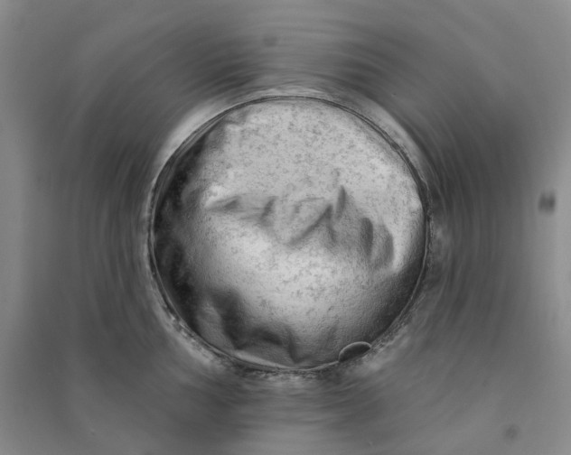 X0000090891002200708171702