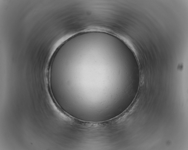 X0000090891003200708171702