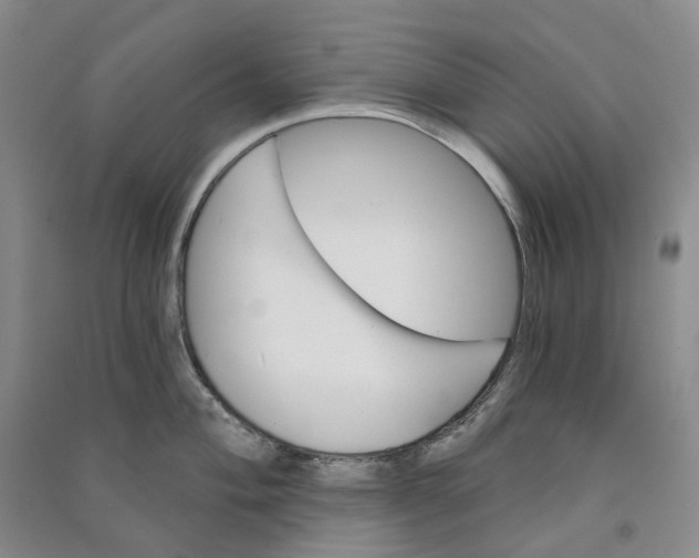 X0000090891004200708171702