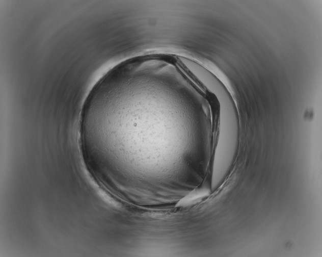 X0000090891005200708171702