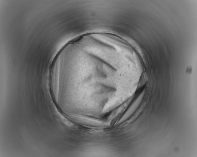 X0000090891006200708171702