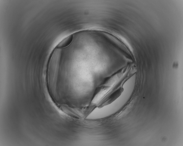 X0000090891007200708171702