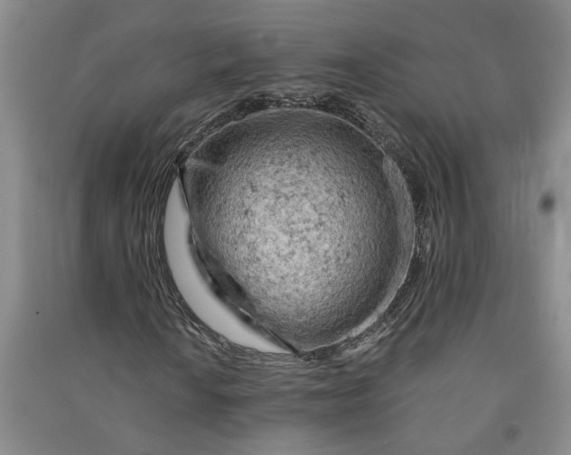 X0000090891010200708171701