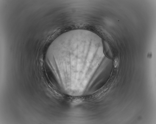 X0000090891011200708171701