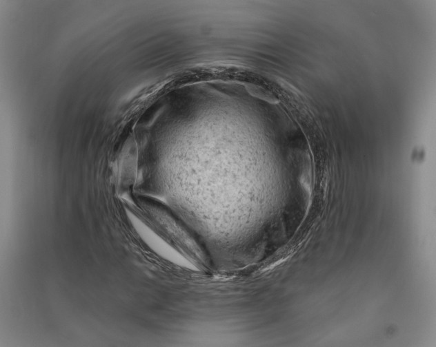 X0000090891014200708171701