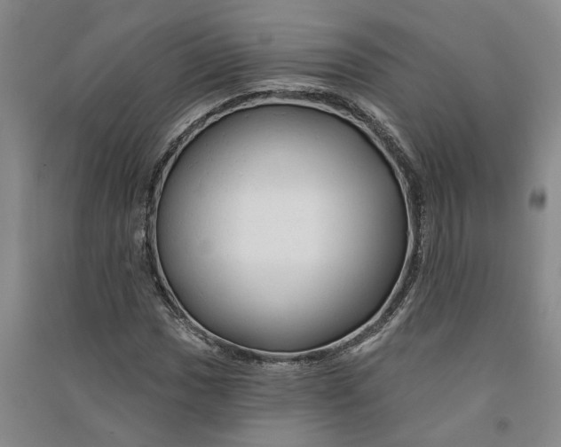 X0000090891017200708171701