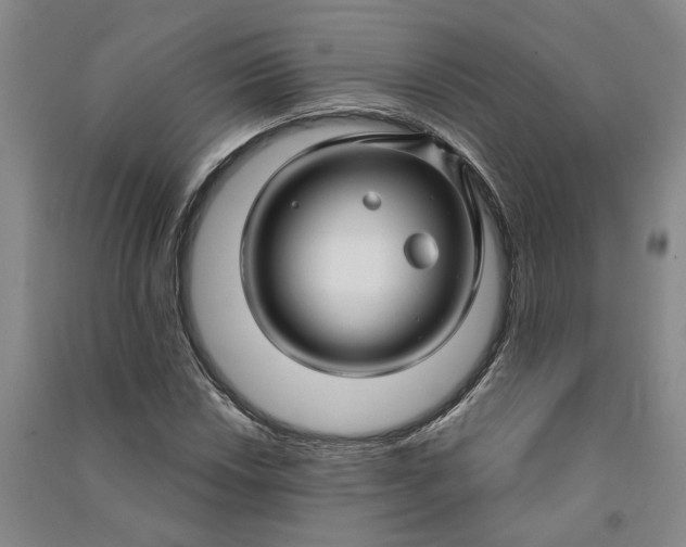 X0000090891018200708171701