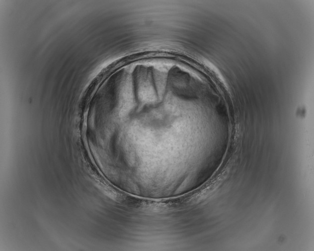 X0000090891019200708171701