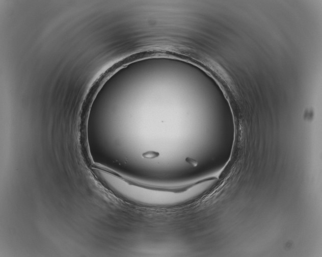 X0000090891020200708171701