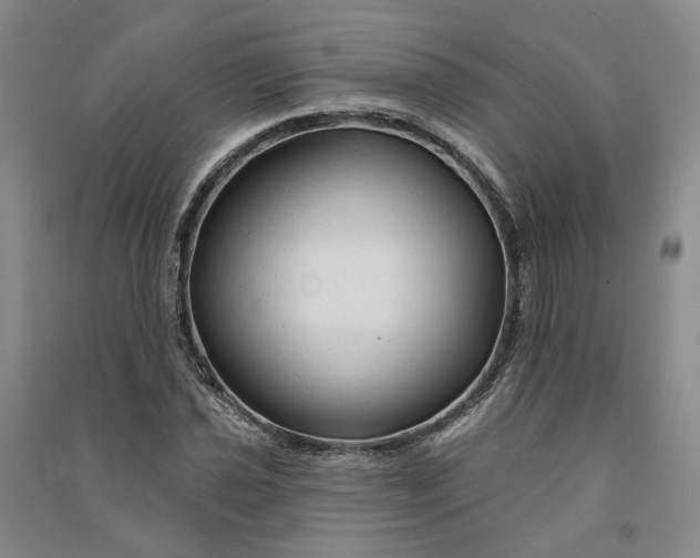 X0000090891021200708171701