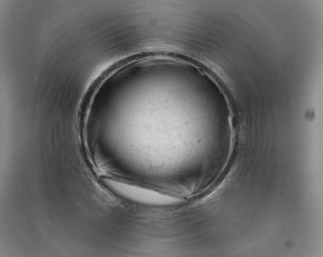 X0000090891022200708171701