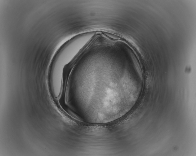 X0000090891024200708171701