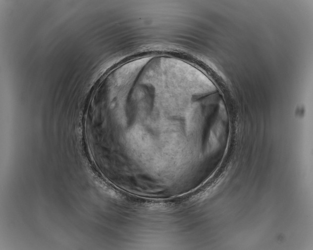 X0000090891025200708171701