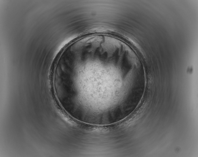 X0000090891026200708171701