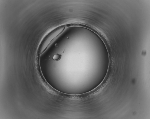 X0000090891029200708171701