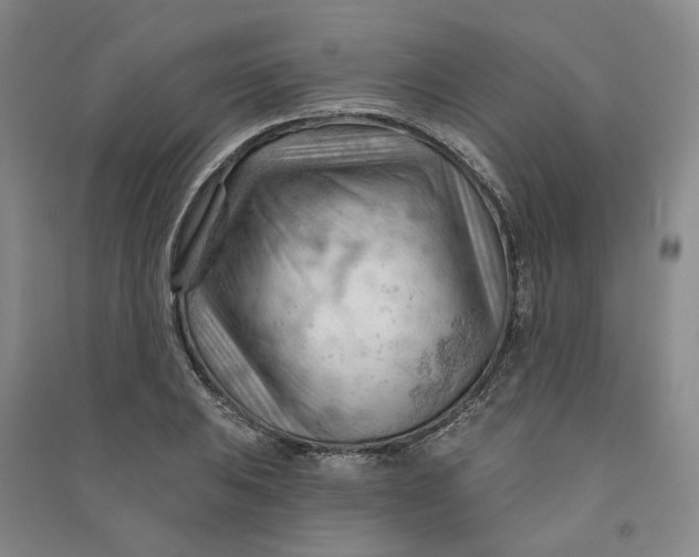 X0000090891031200708171701