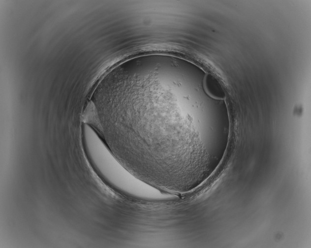 X0000090891033200708171701