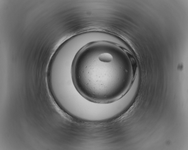 X0000090891034200708171701