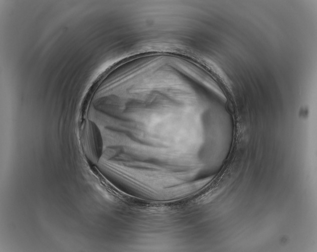 X0000090891035200708171701