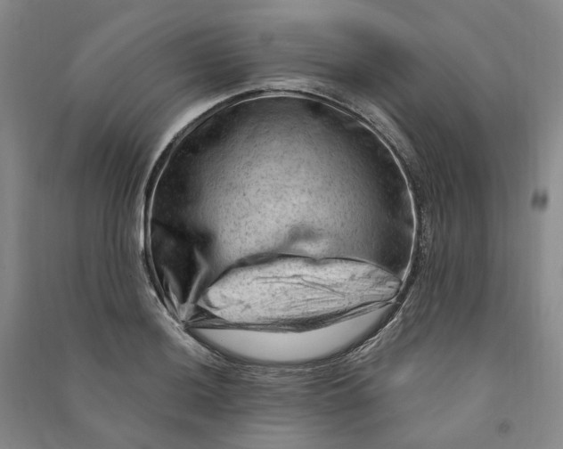 X0000090891036200708171701